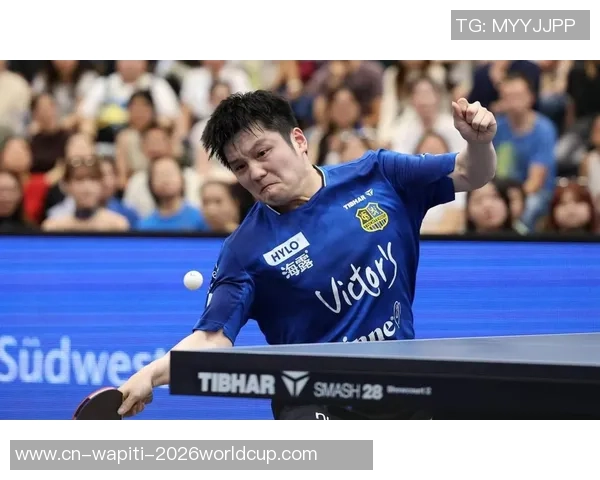 法媒评樊振东：超凡脱俗！他不需要国际排名，由于已逾越这个国际